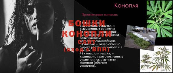 круглые Краснослободск