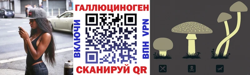 купить наркотик  Кола  Псилоцибиновые грибы мицелий 